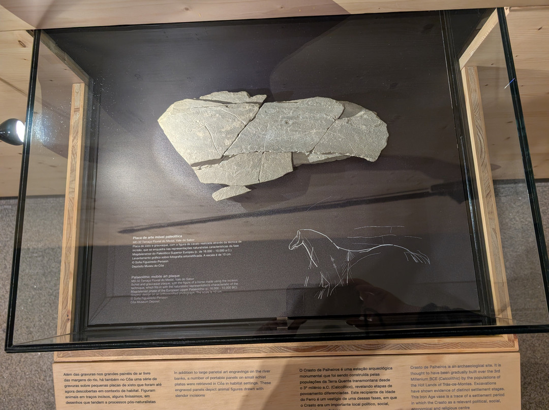 Museu do Douro-佩苏达雷瓜必去景点