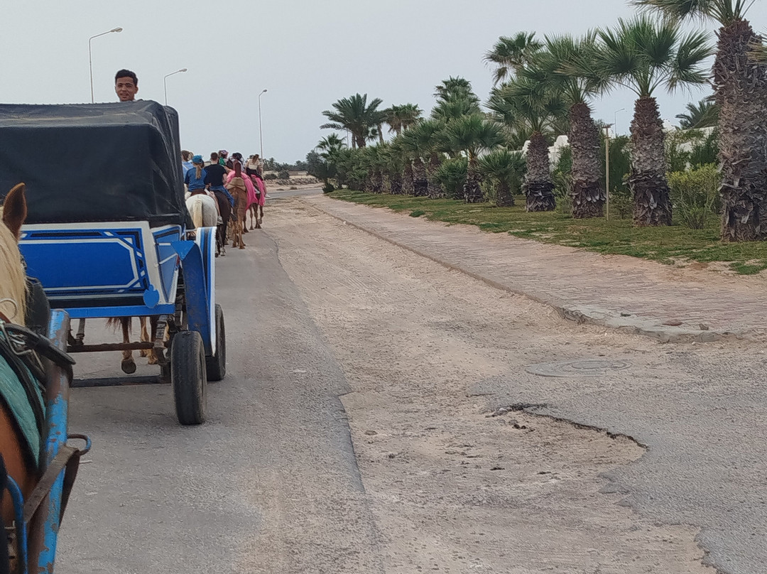 Ennakhil de tourisme Djerba-米栋必去景点
