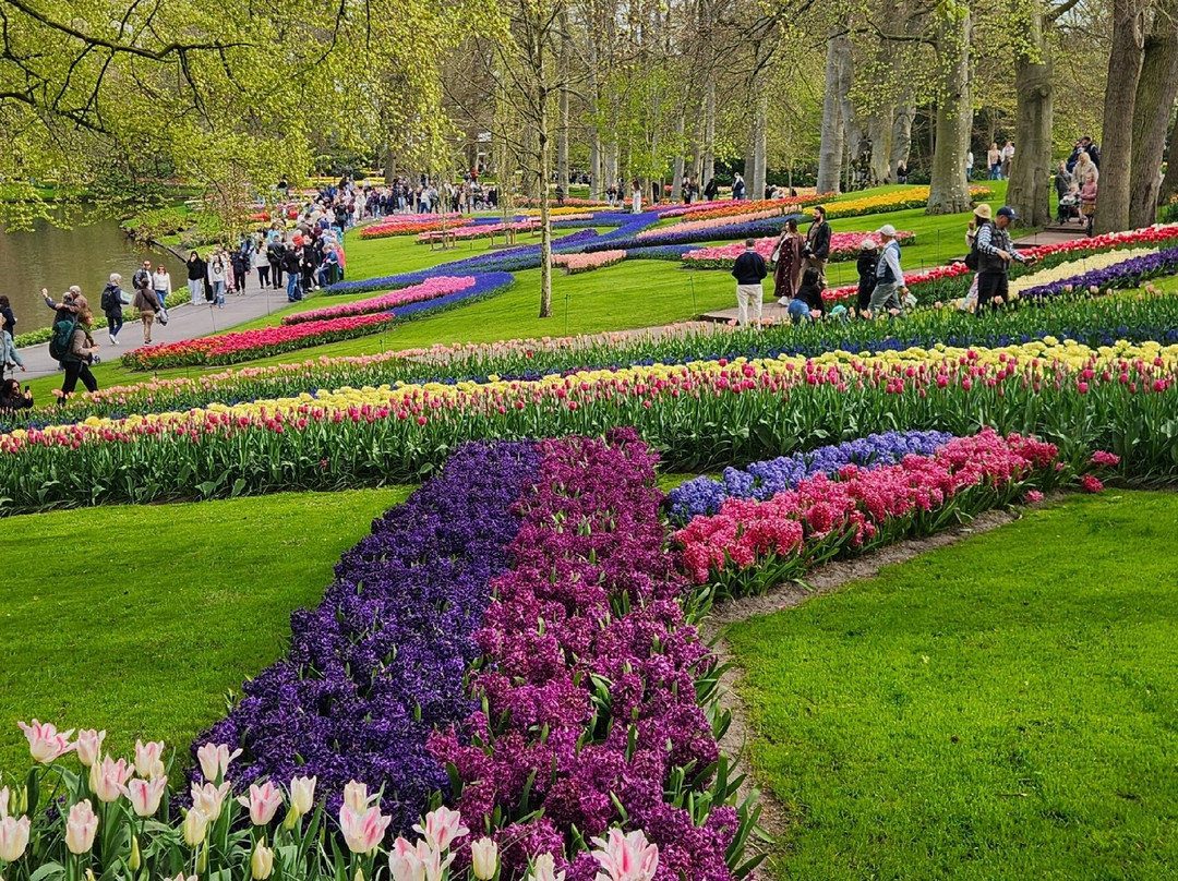 Keukenhof Gardens-利塞必去景点
