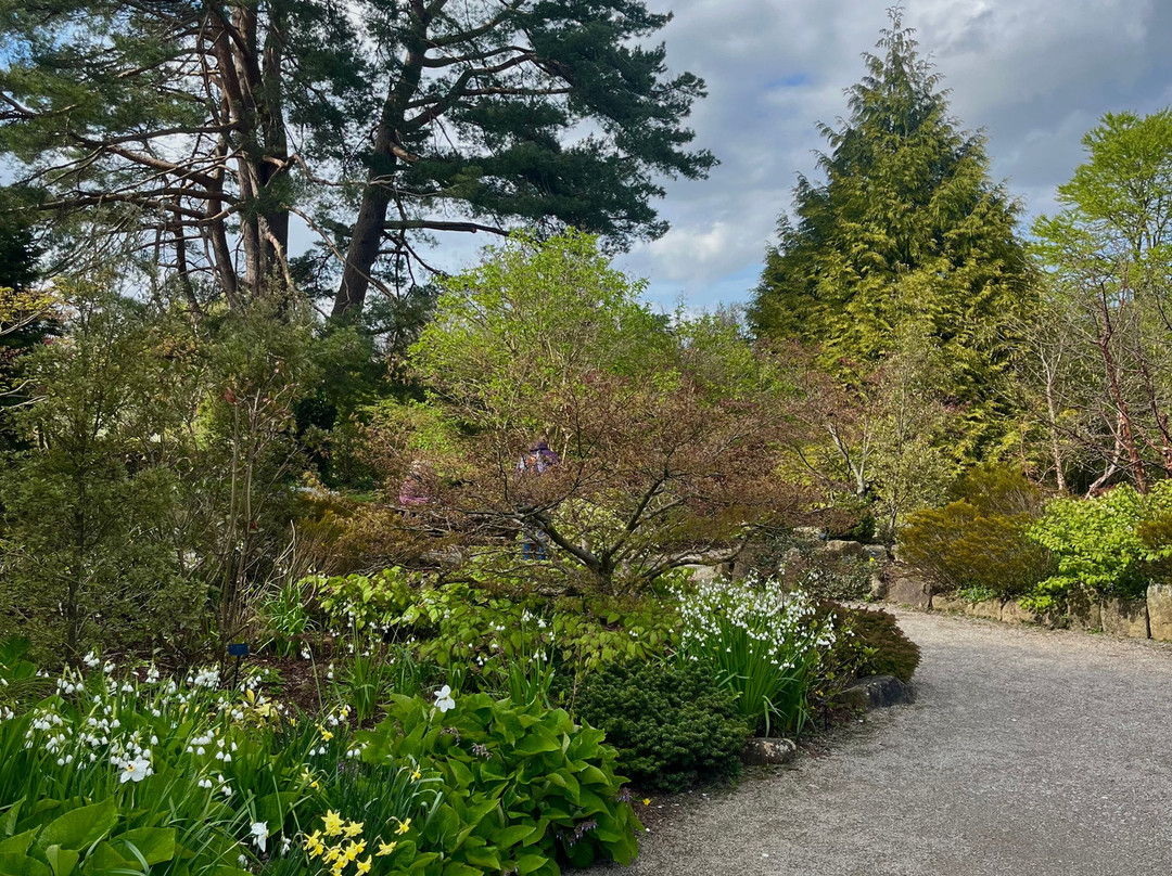 RHS Garden Harlow Carr-哈罗盖特必去景点