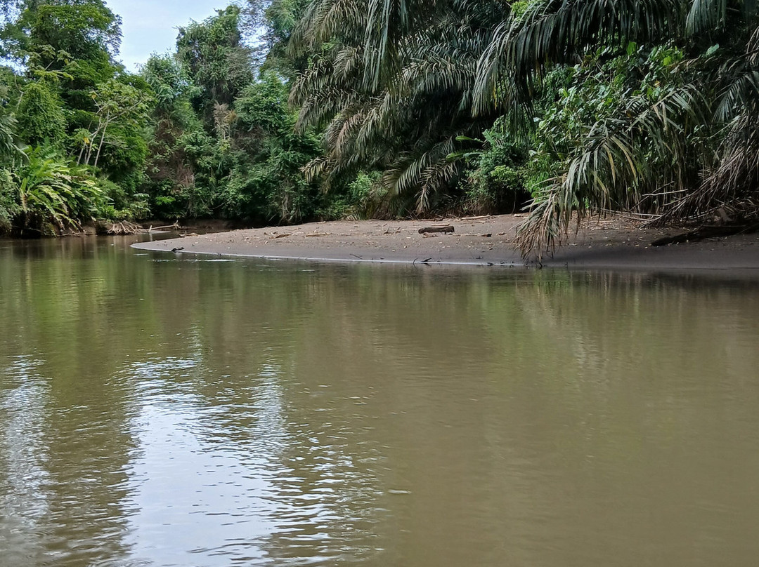 Tortuguero Tours-托图杰多必去景点