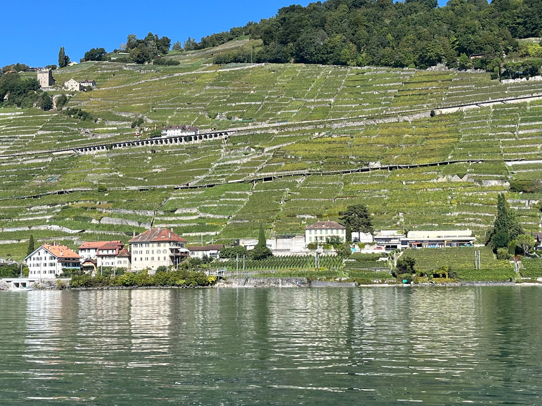 Lake Geneva Marine (Genfersee Schifffahrt)-蒙特勒必去景点