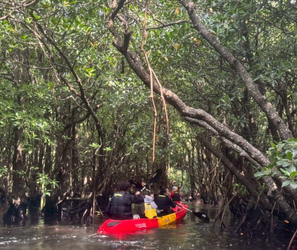 IRIOMOTE ADVENTURE PiPi-竹富町西表岛必去景点