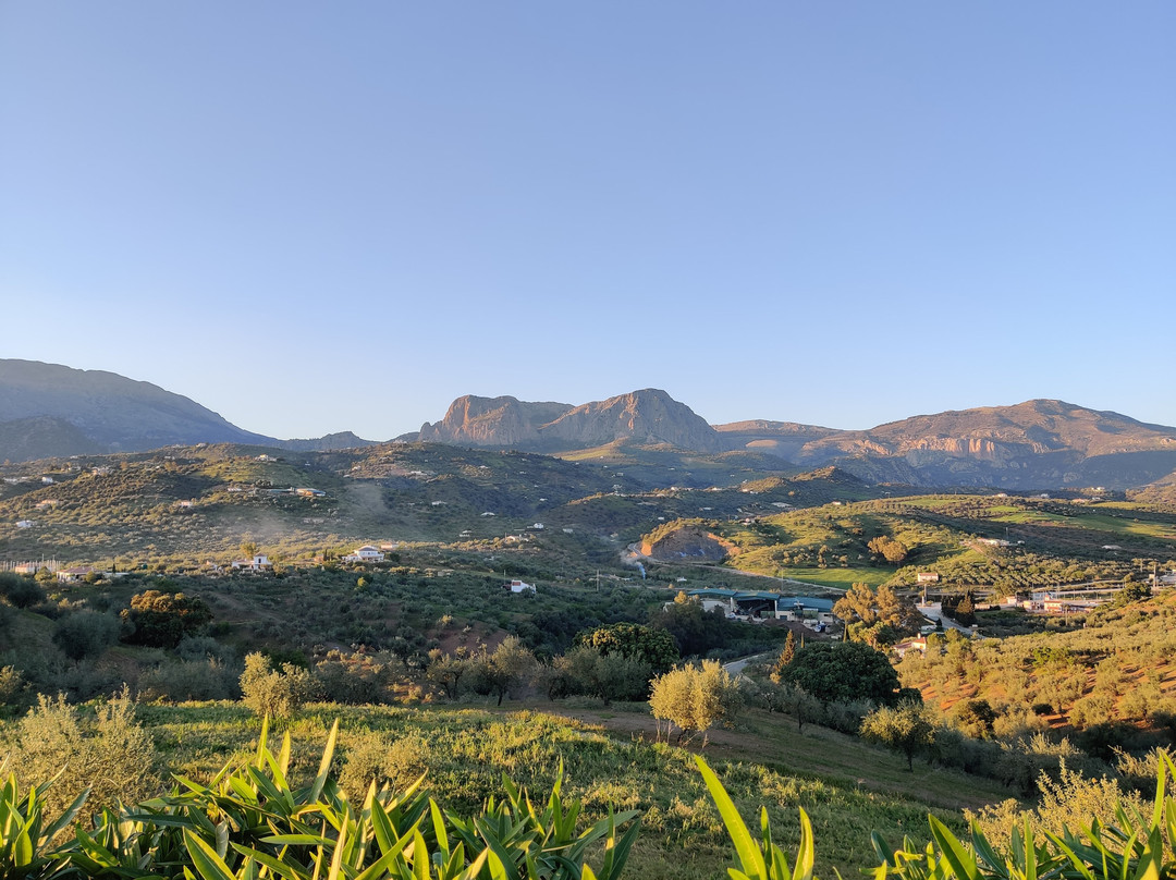 B&b Hacienda Riogordo主图
