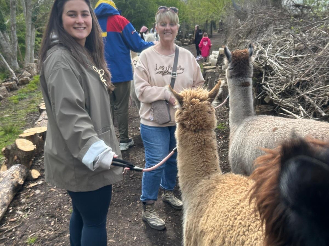 Nanny Sharon's Alpaca Farm C.I.C-Prenton必去景点