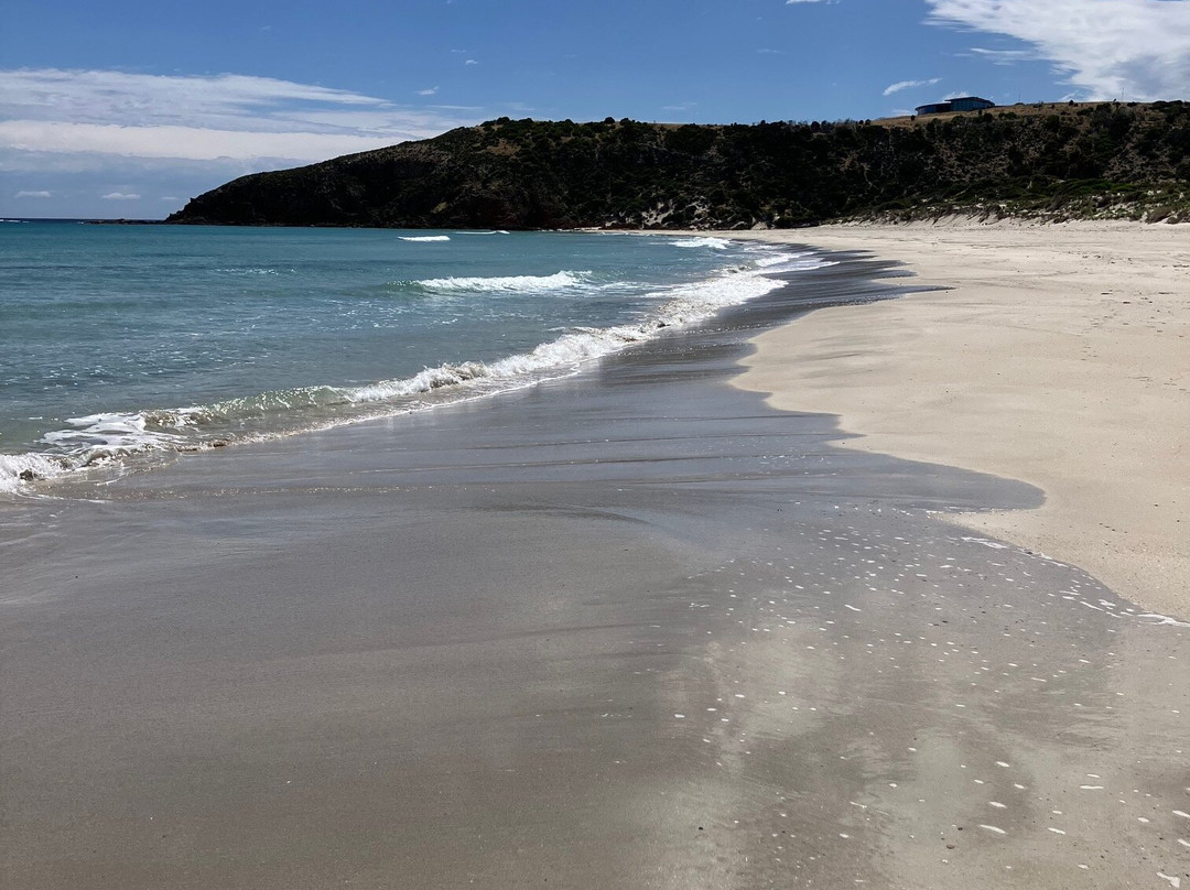 Stokes Bay Beach-Cassini必去景点