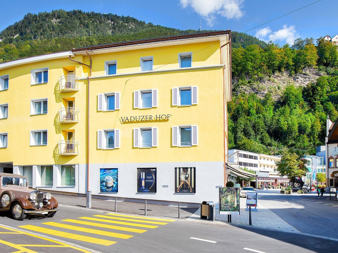 特里森贝格酒店住宿-Hotel Vaduzerhof