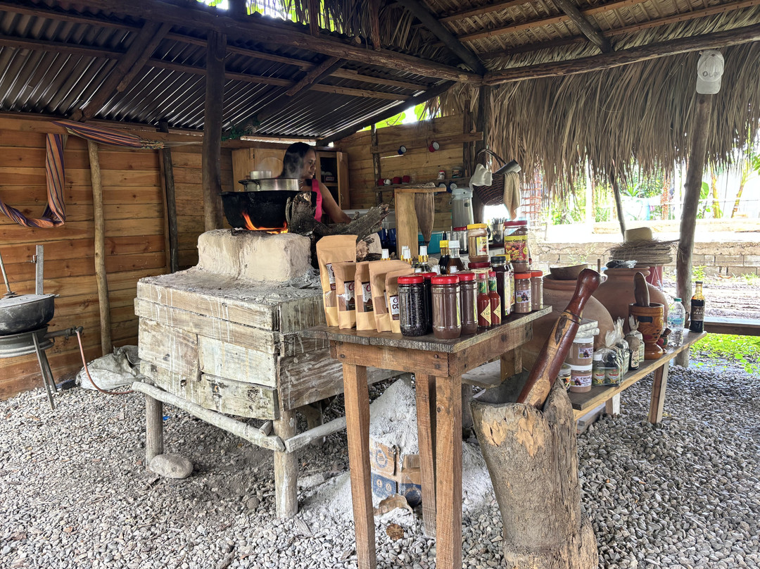 Monkey Home Puerto Plata-普拉塔港必去景点