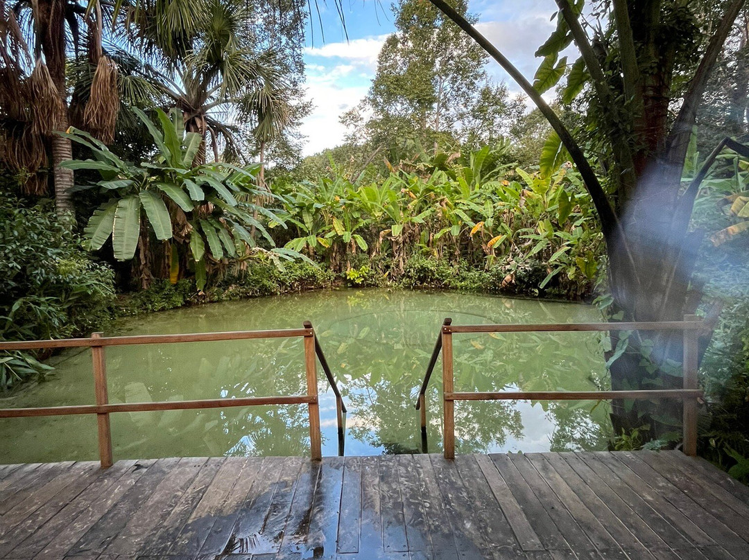 Fervedouro Do Alecrim-Sao Felix do Tocantins必去景点