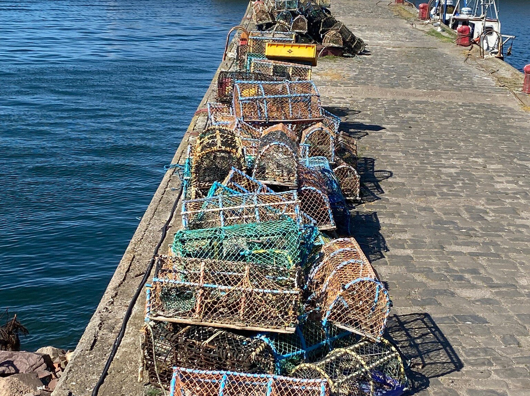 Port Seton Harbour-Cockenzie必去景点