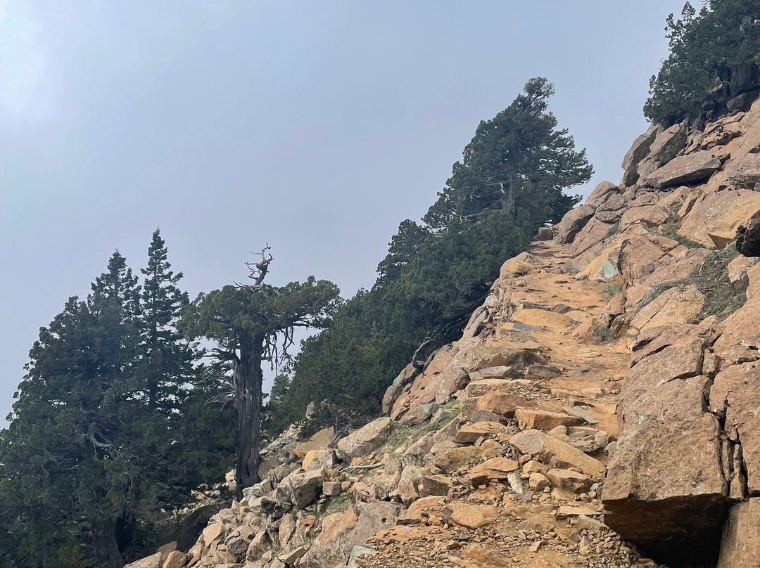 Artemis Nature Trail-特罗多斯必去景点