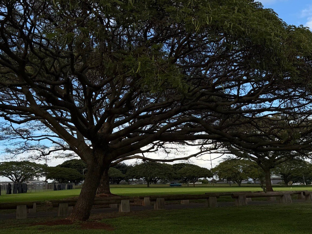 Central Oahu Regional Park-火奴鲁鲁必去景点