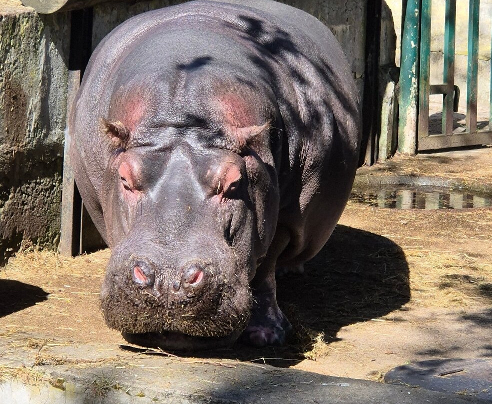 Riga Zoo-里加必去景点
