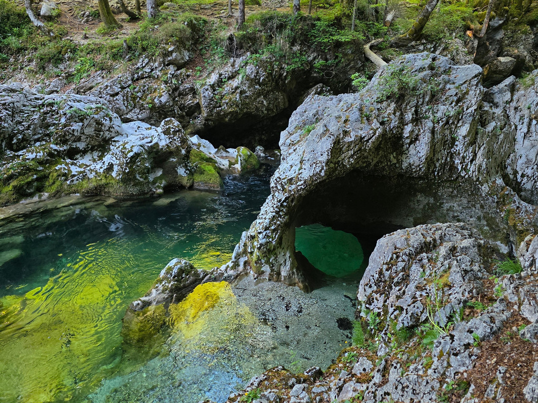 Hike&Bike Slovenia-博希尼湖必去景点