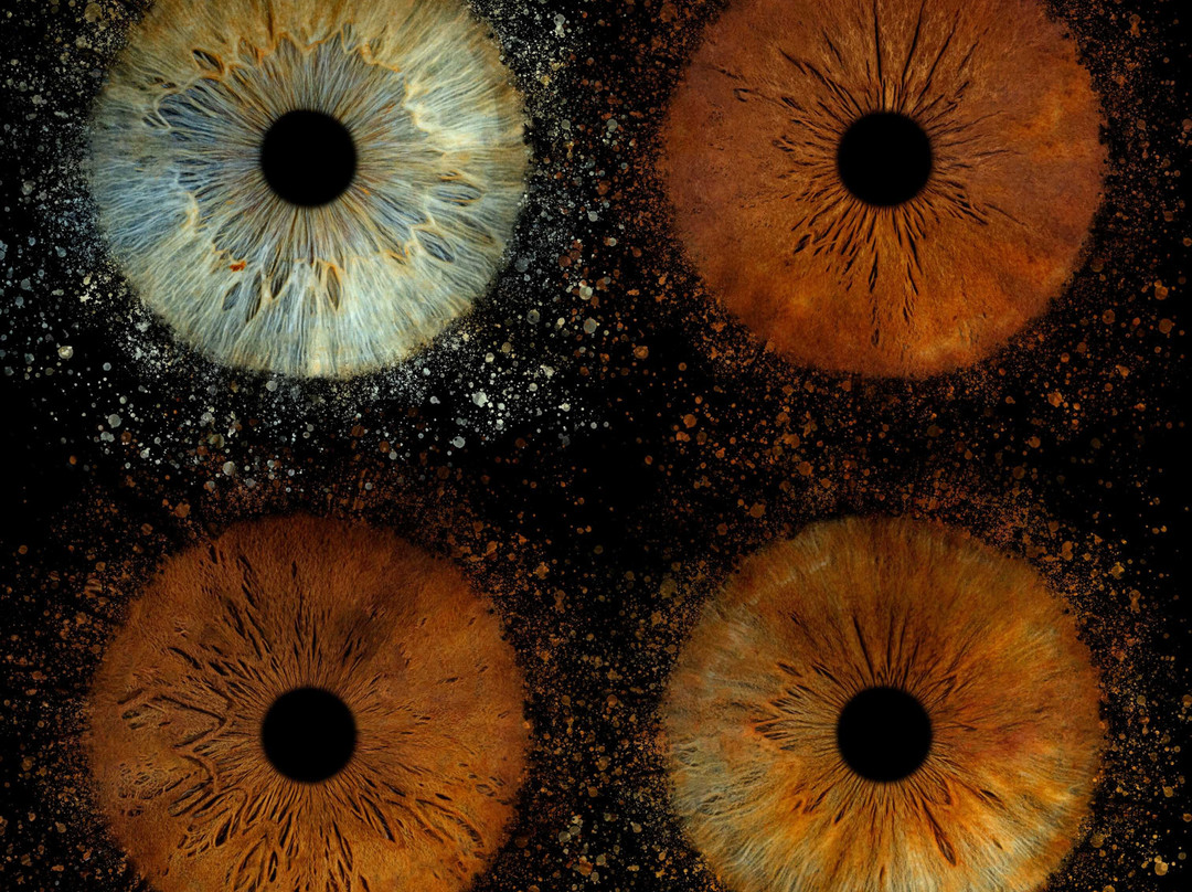 Iris Galerie Arnhem
