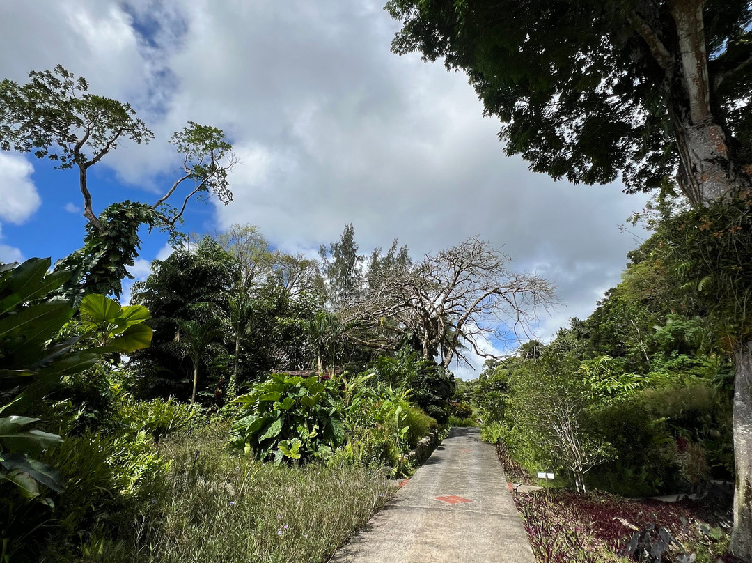 Jardin Botanique de Valombreuse-Petit-Bourg必去景点