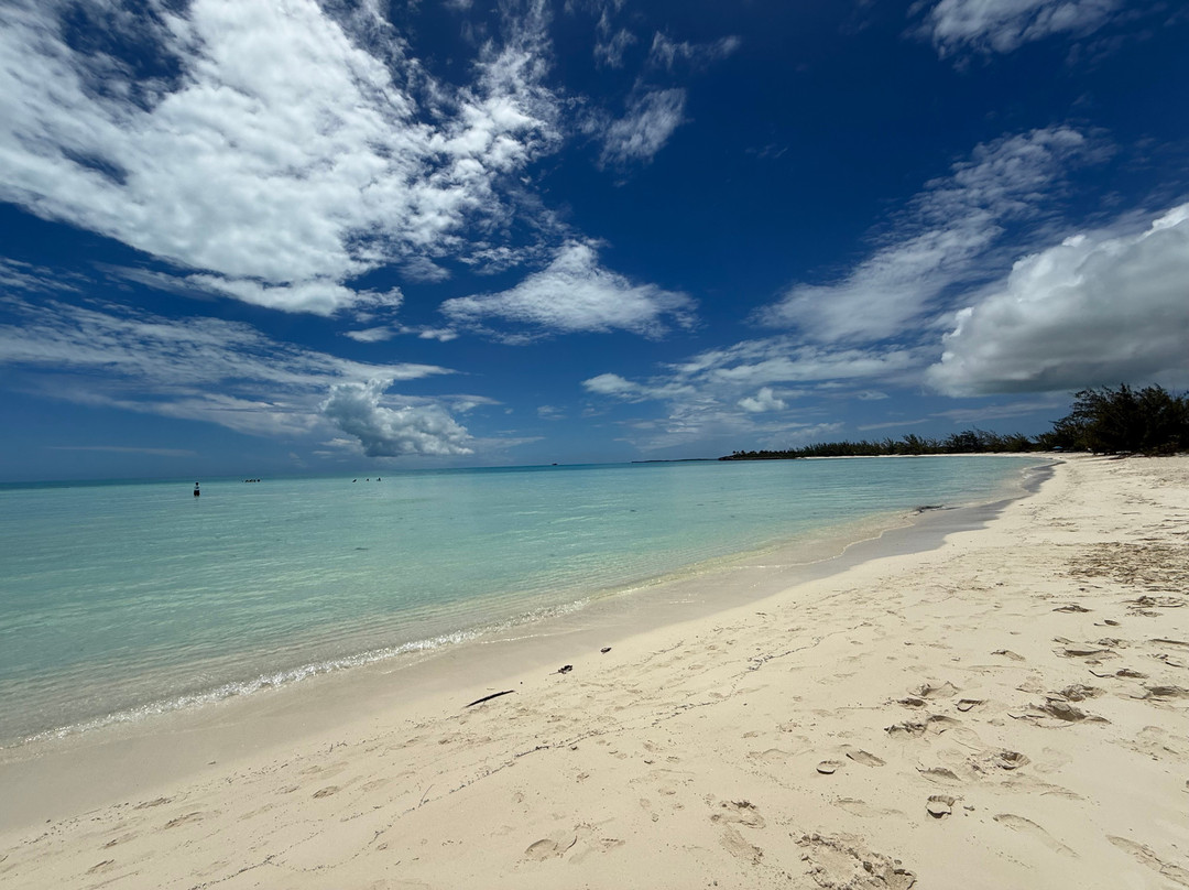 Taylor Bay Beach-普罗维登西亚莱斯必去景点