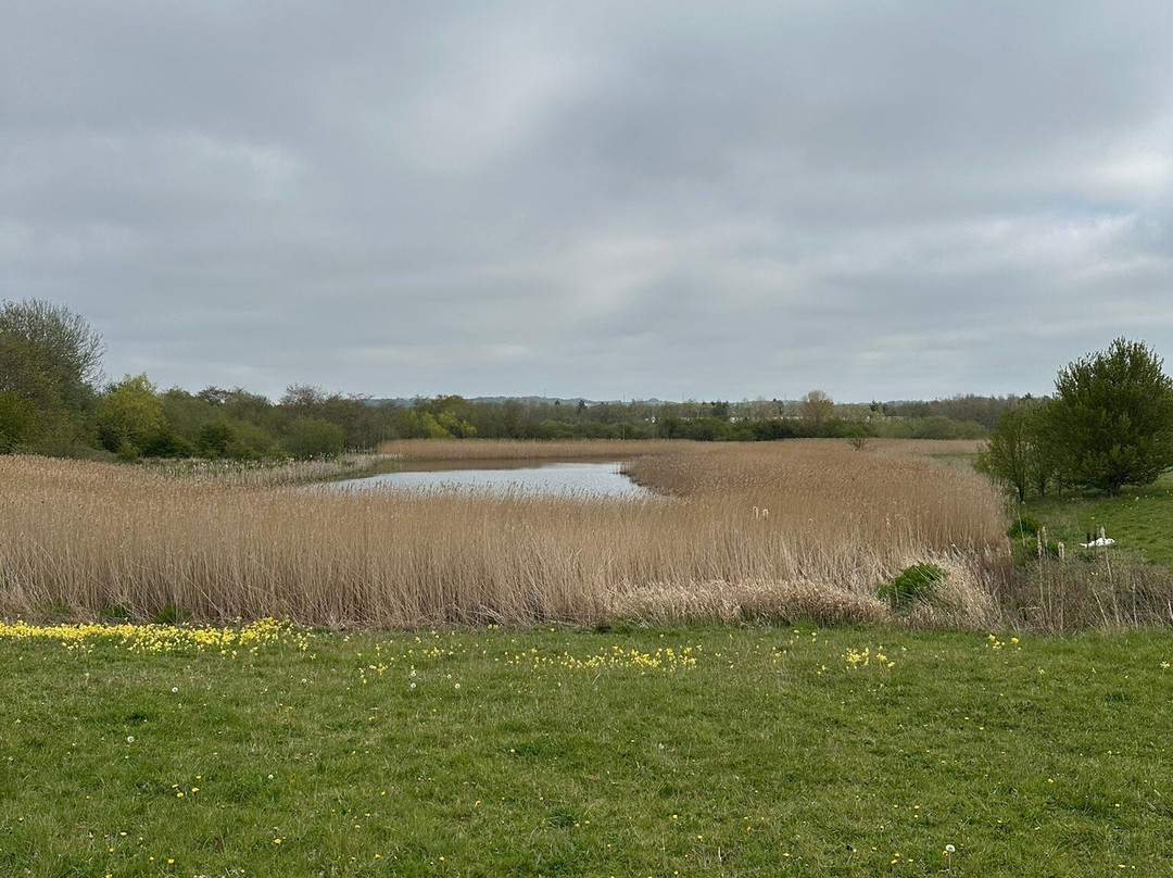 Rainton Meadows Nature Reserve & Visitor Centre-Houghton-le-Spring必去景点