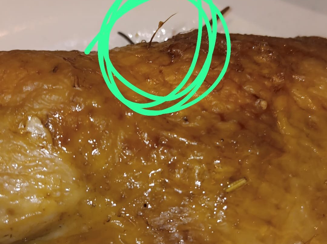 欧里颂特布鲁酒店主图