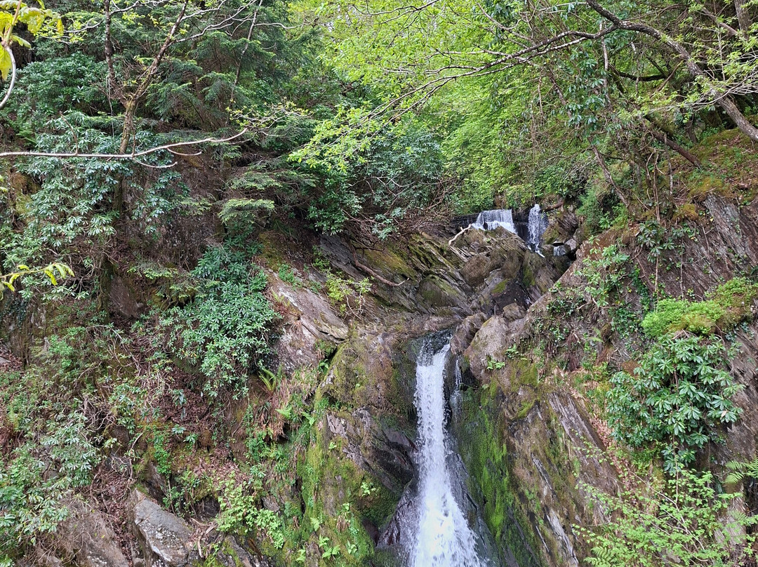Devil's Bridge Waterfalls-Devil's Bridge (Pontarfynach)必去景点