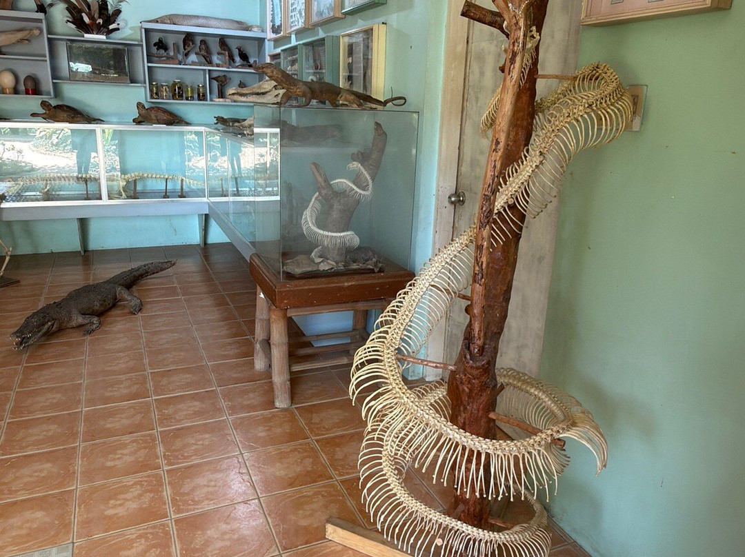 Crocolandia-Talisay City必去景点