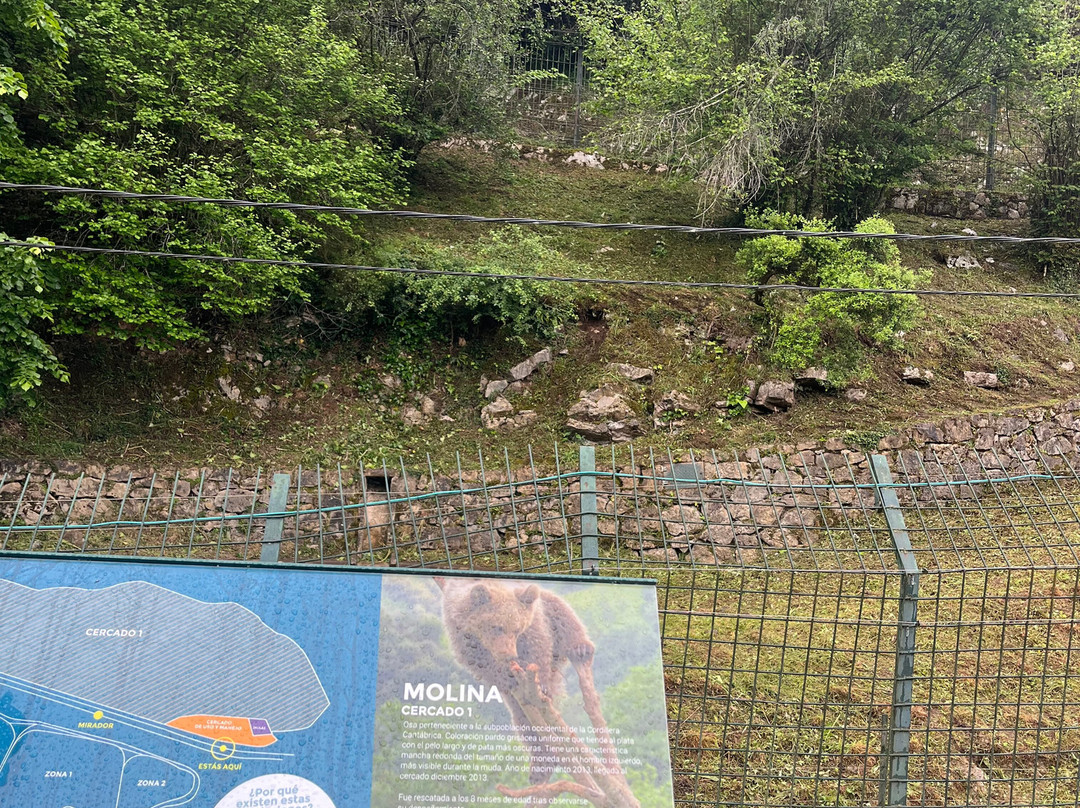 Senda Del Oso Experience - Teverastur-Teverga Municipality必去景点