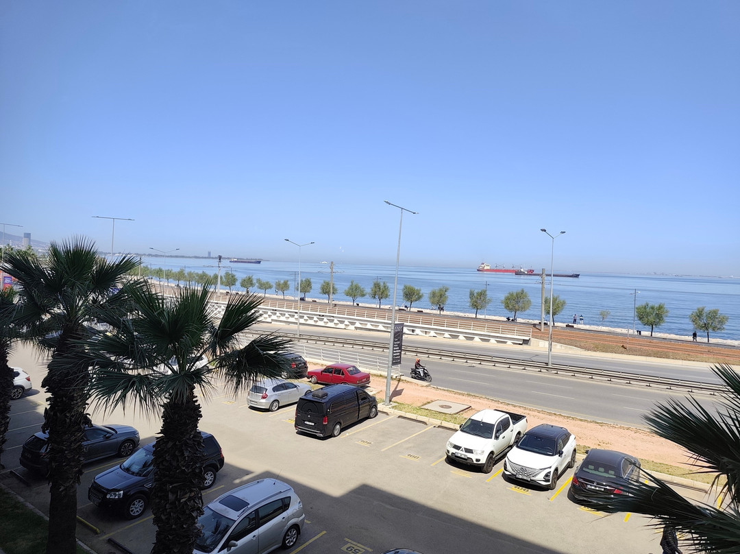 雅丽科纳克酒店伊兹密尔