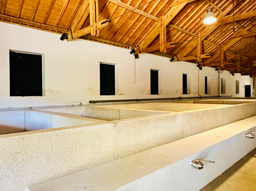 Wine Tourism - Quinta dos Murcas