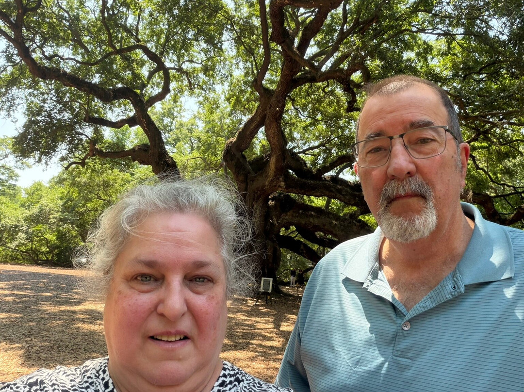 Angel Oak Tree-Johns Island必去景点