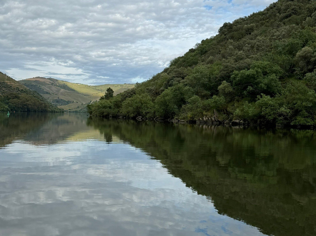 Anima Durius Douro River Cruises-Pinhao必去景点