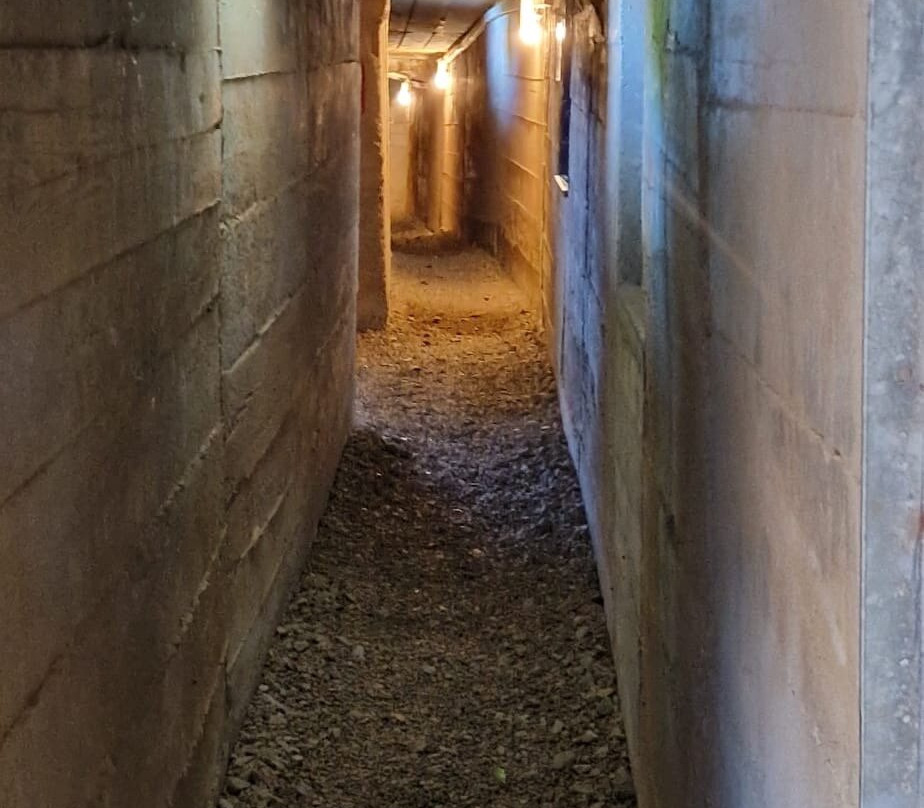La Batterie d'Azeville (Azeville gun battery)-Azeville必去景点