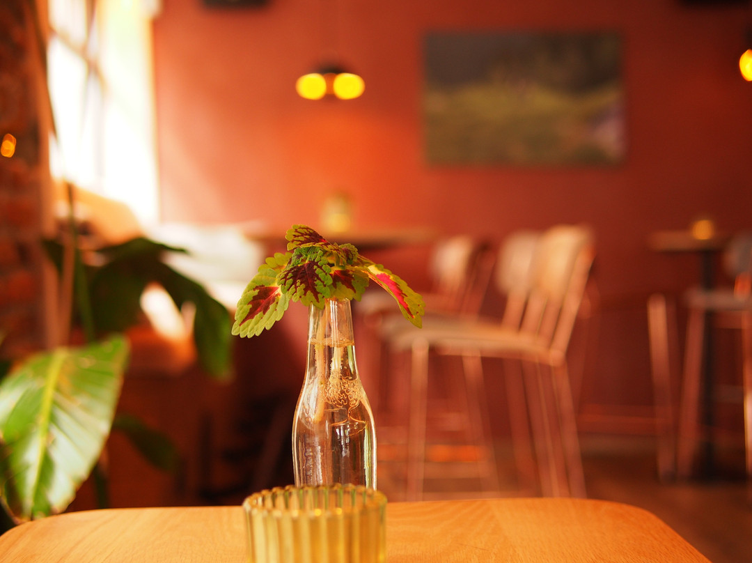 Korsika Bar