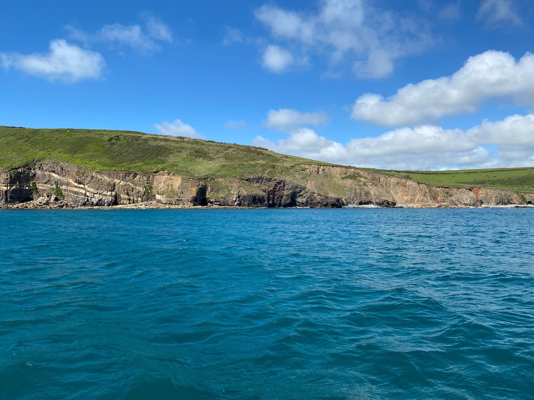 Mollie May Pleasure Trips-Newlyn必去景点