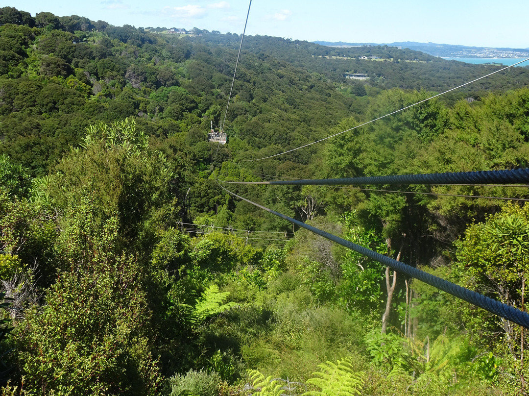 Ecozip Adventures Waiheke Island-欧尼罗亚必去景点