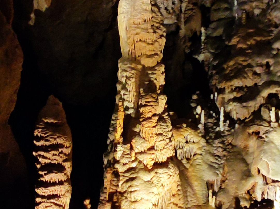Grotte de Dargilan-Meyrueis必去景点