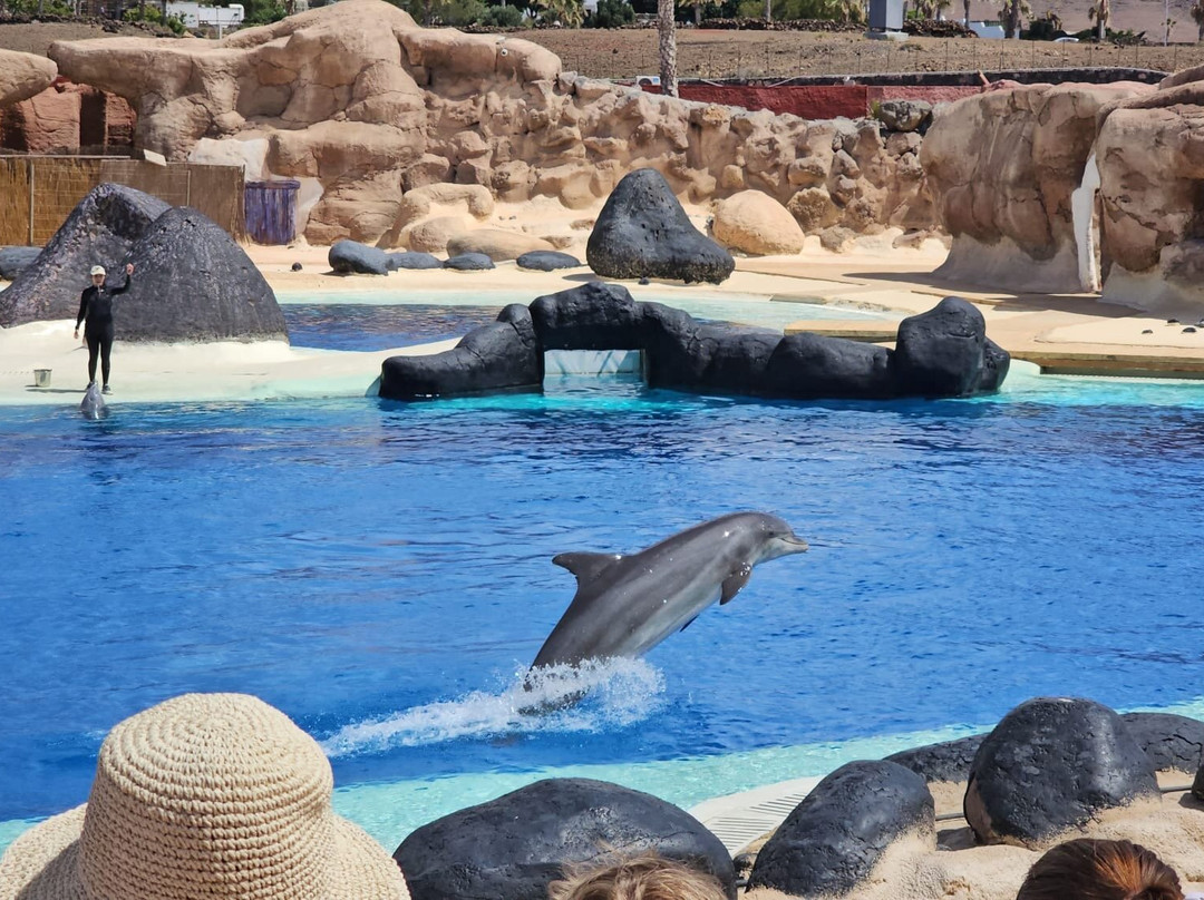 Rancho Texas Lanzarote Park-卡门港必去景点