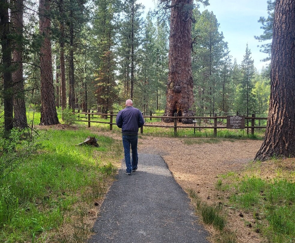 La Pine State Park-La Pine必去景点