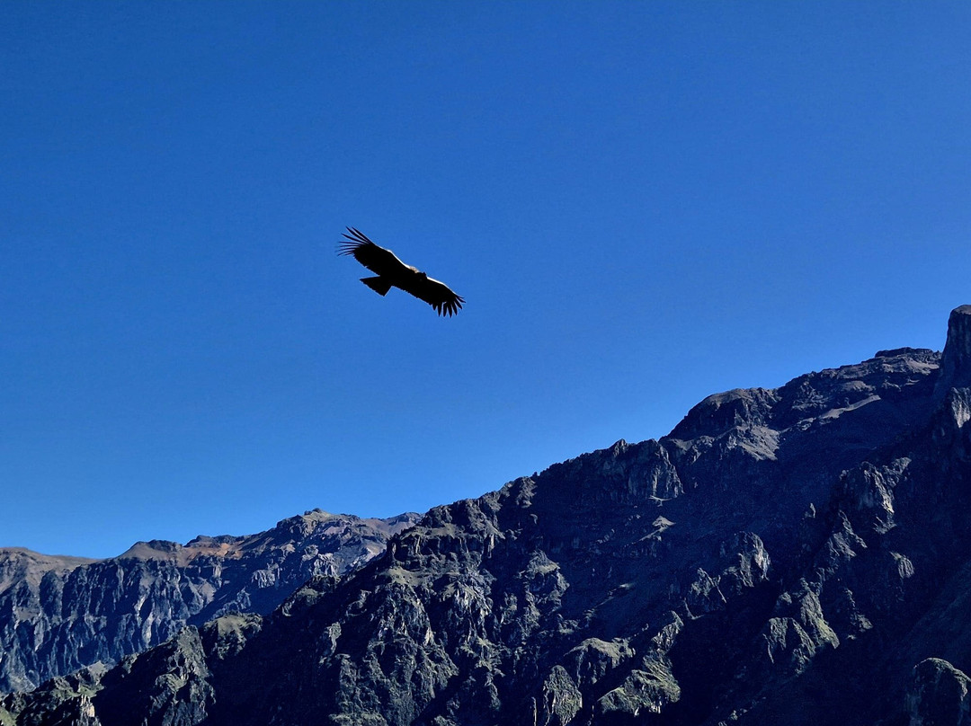 Mirador Cruz del Condor-Cabanaconde必去景点