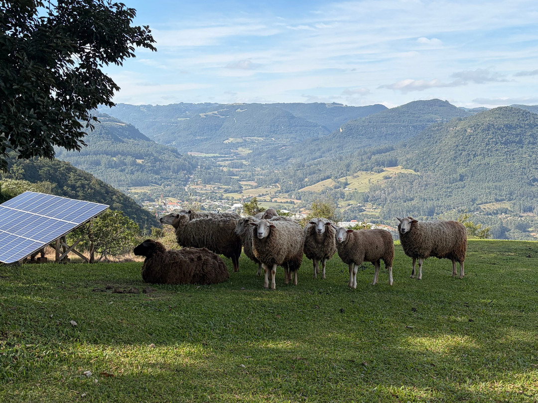 Morro do Vento-Picada Cafe必去景点