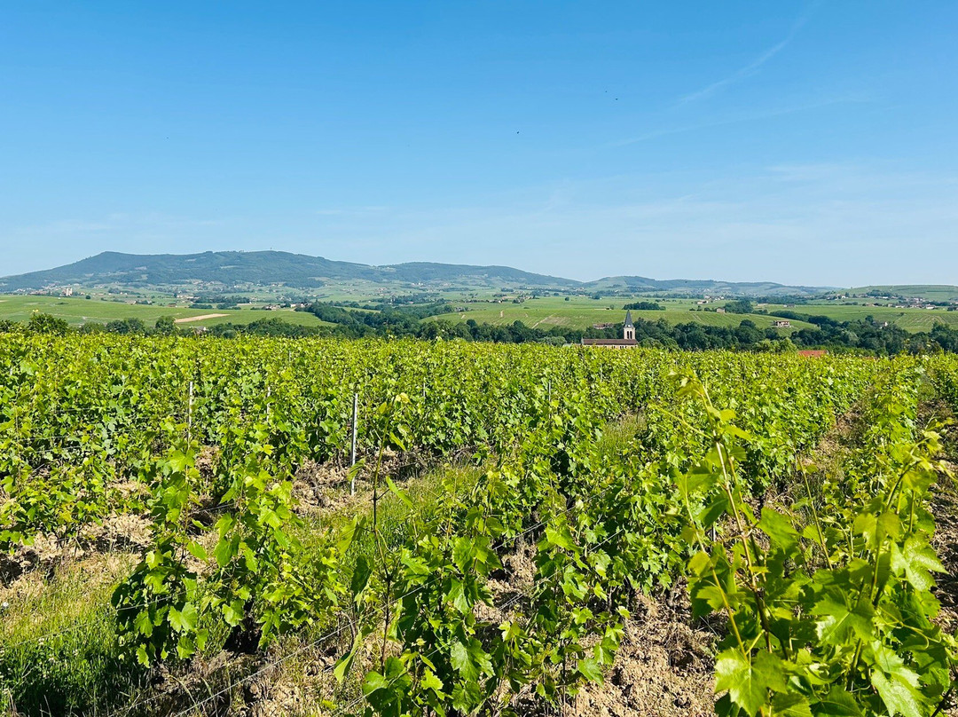 CHATEAU DES RAVATYS-Saint-Lager必去景点