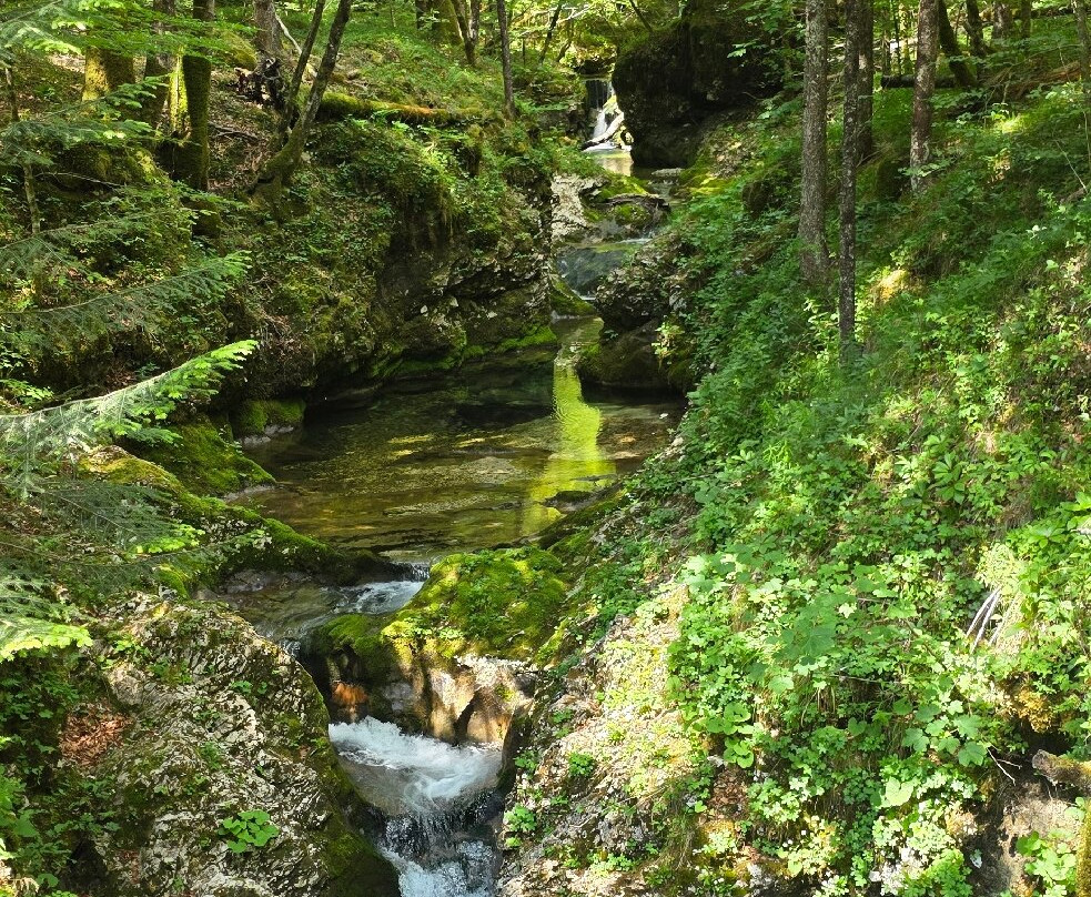 Mostnica Gorge-Stara Fuzina必去景点