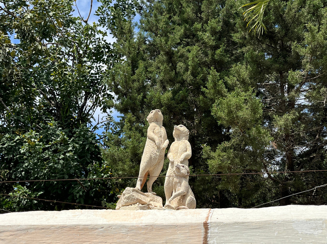 Pafos Zoo-帕福斯必去景点