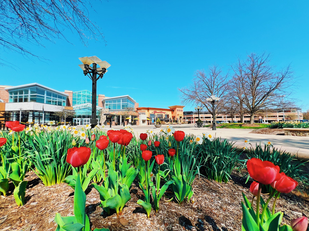 Bridgewater Commons-布里奇沃特必去景点