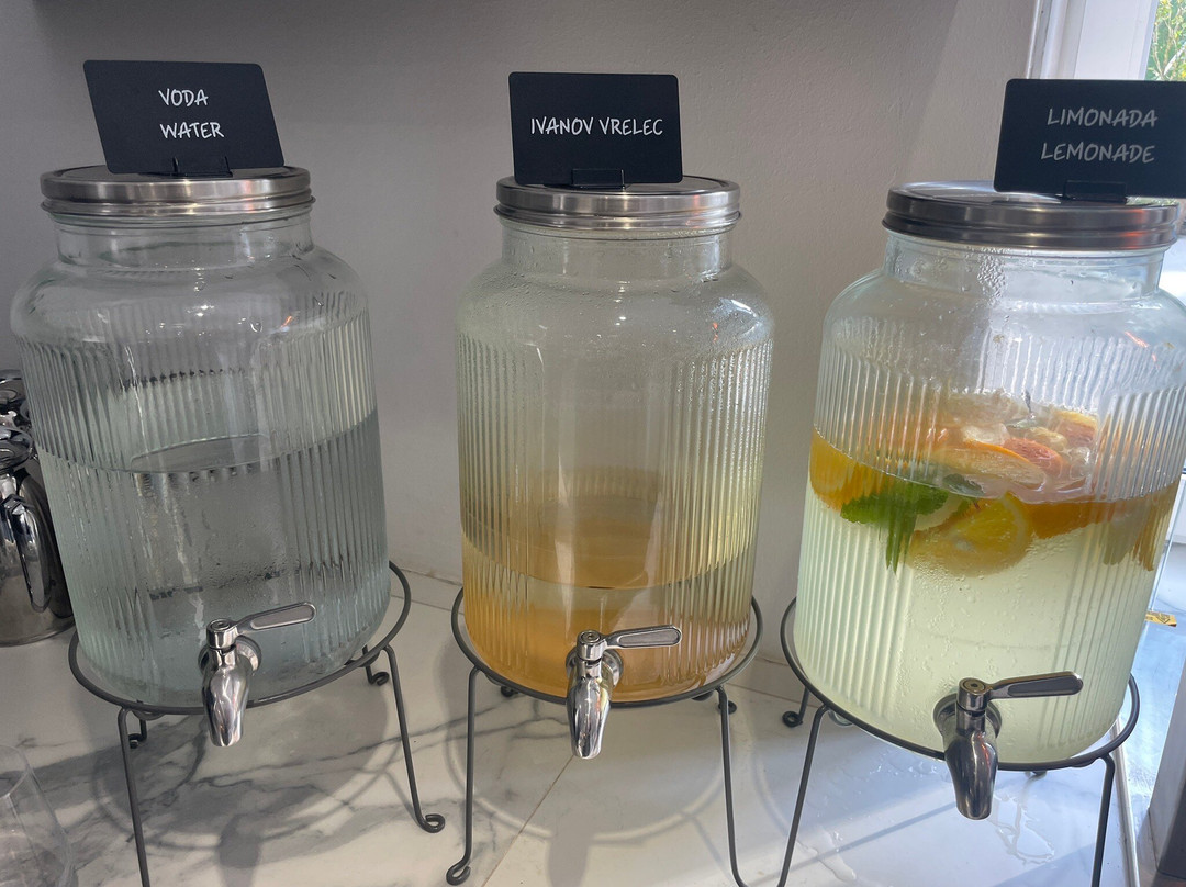 斯拉蒂纳酒店主图