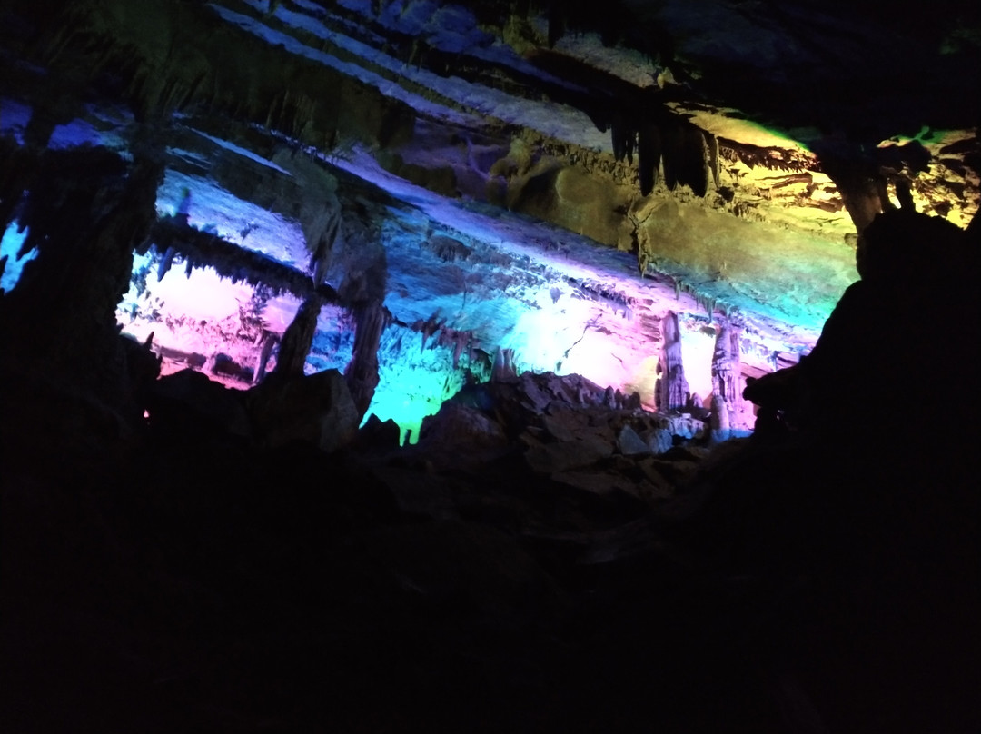 Penn's Cave & Wildlife Park-中心大厅必去景点