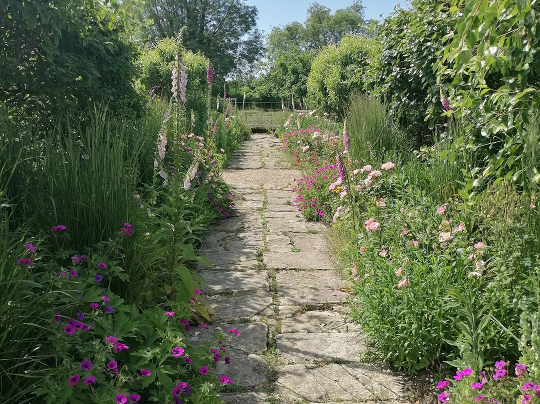 Tintinhull Garden-约维尔必去景点