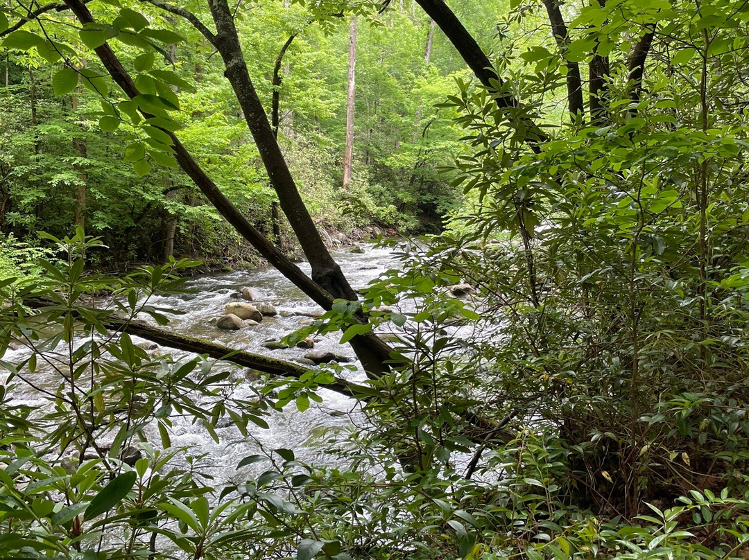 Sugarlands Valley Nature Trail-大雾山国家公园必去景点