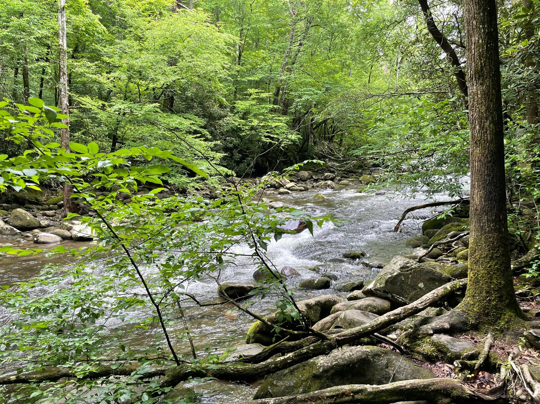 Sugarlands Valley Nature Trail-大雾山国家公园必去景点
