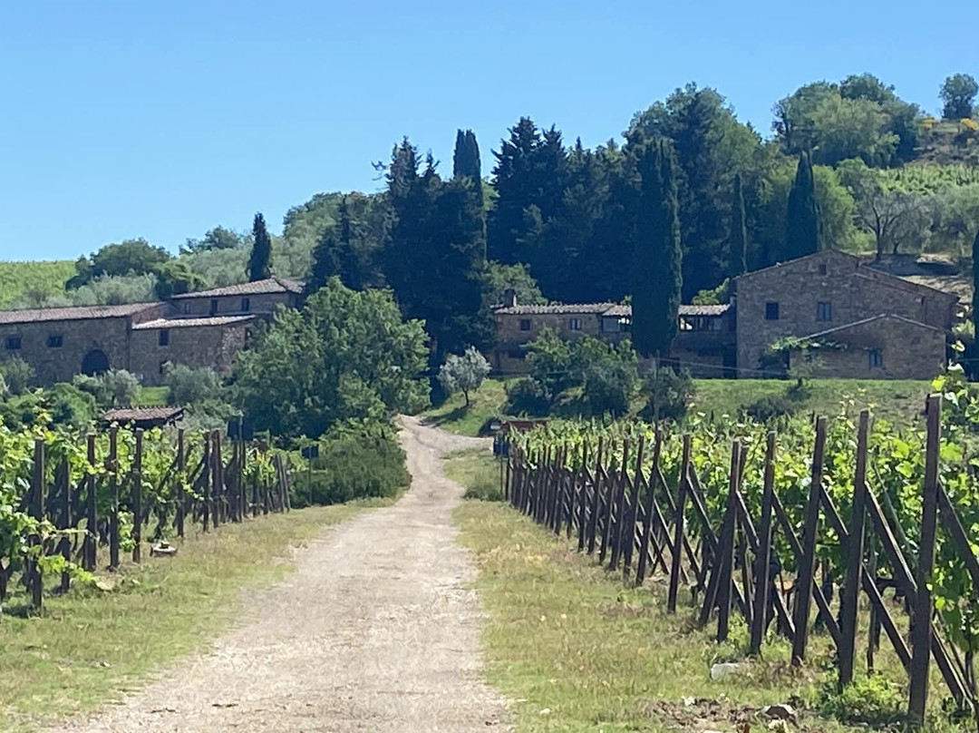 Castellare di Castellina-卡斯特利纳－因基安蒂必去景点