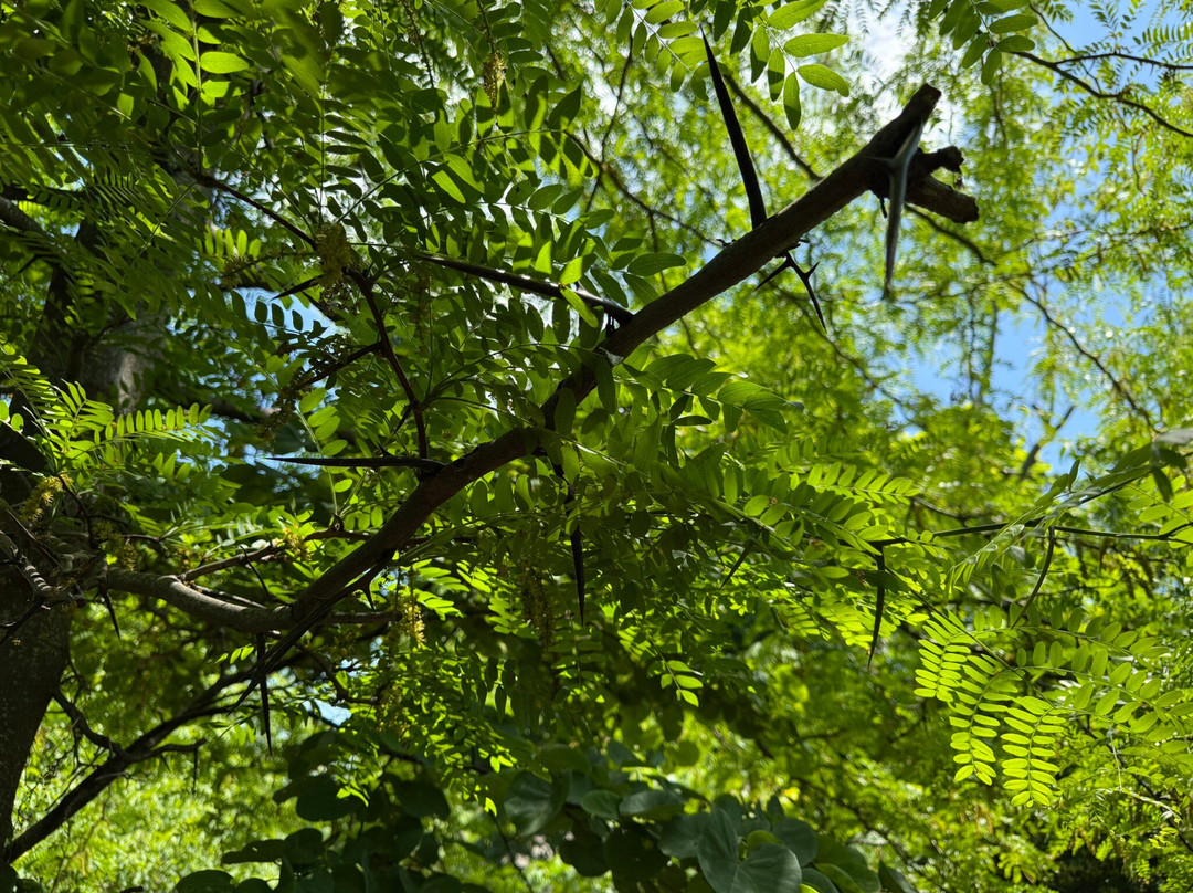 Serpentin Organic Garden-Tsagkarada必去景点